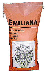 Plante furajere - Lucernă emiliana