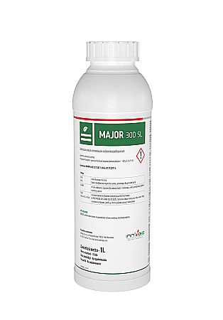 Sfeclă - Erbicid Major 300 SL