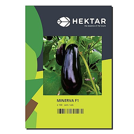 Vinete - Vinete Minerva F1