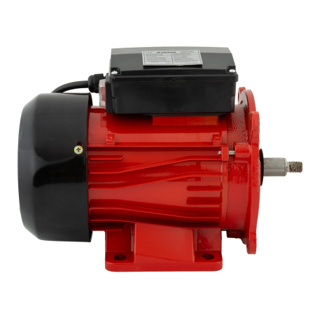 MOTOR ELECTRIC PENTRU MOARA [1]