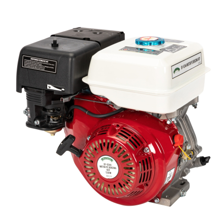 Motoare electrice si pe combustibil - Motor pe benzina 9HP