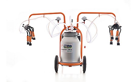 Mulgătoare Făgăraș Lact 801 [1]