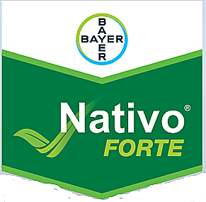 Fungicid Nativo Forte 280 EC [1]