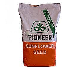 Seminţe și material săditor - Semințe floarea soarelui Pioneer P64LE136 + Express Pachet 5 ha