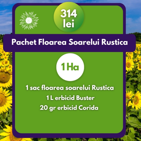 Seminţe și material săditor - Pachet Floarea Soarelui Rustica-1 Ha