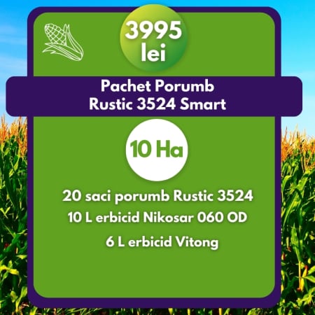 Porumb - Pachet Porumb Rustic 3524- 10 Ha