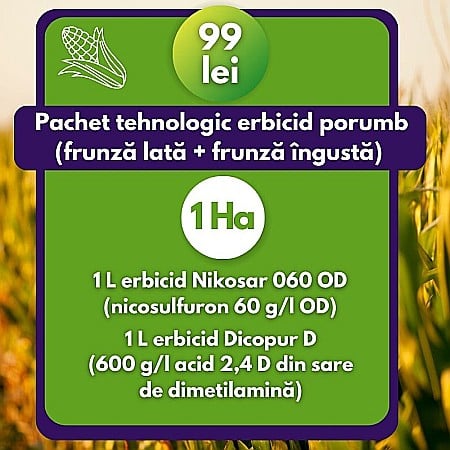 Pachete comerciale - Pachet tehnologic erbicid porumb (frunză lată + frunză îngustă)  1 Ha