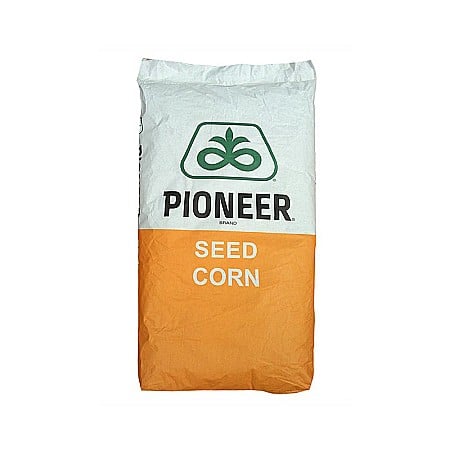 Seminţe și material săditor - Semințe porumb hibrid Pioneer P9757