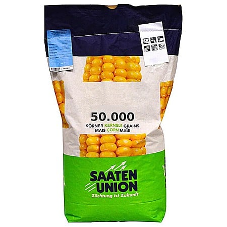 Porumb - Seminţe Porumb Replik - Saaten Union