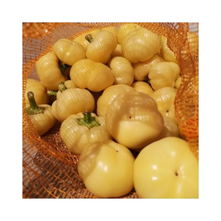 Semințe legume profesionale - Semințe ardei mini gogoșar iute, Freddy F1