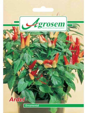 Semințe hobby flori - Semințe ardei ornamental, 0.5 gr