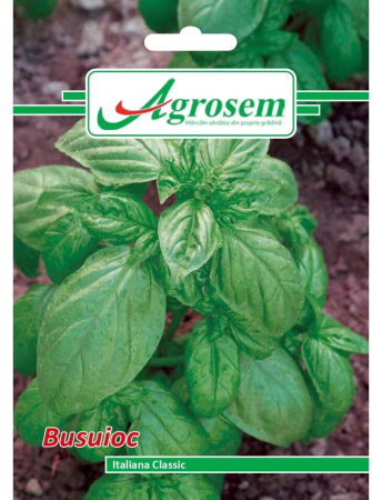 Semințe hobby plante aromatice - Semințe Busuioc, 3 gr