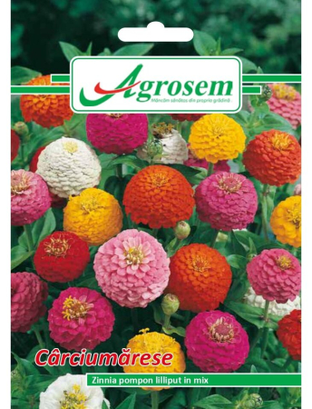 Semințe hobby flori - Semințe Flori Cârciumărese Mix, 1 gr