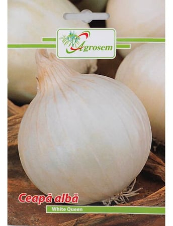 Semințe Hobby - Semințe ceapă albă White Queen, 1.5 gr