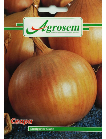 Semințe Hobby - Semințe ceapă galbenă Stuttgart Giant, 1.5 gr