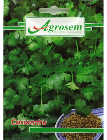 Semințe hobby plante aromatice - Semințe Coriandru, 5 gr