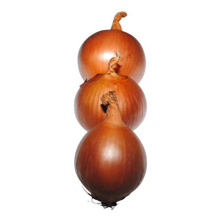 Ceapă - Semințe de ceapă Banko