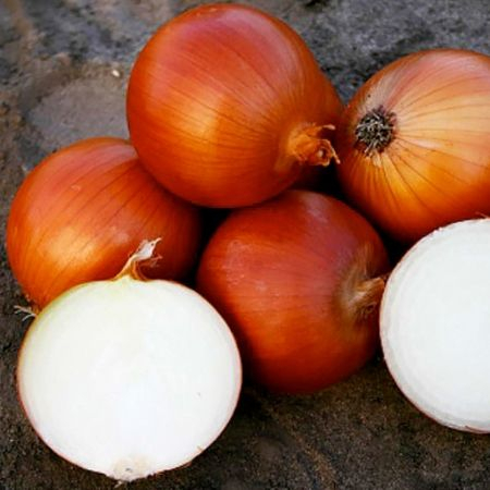 Ceapă - Semințe de ceapă, Valero F1