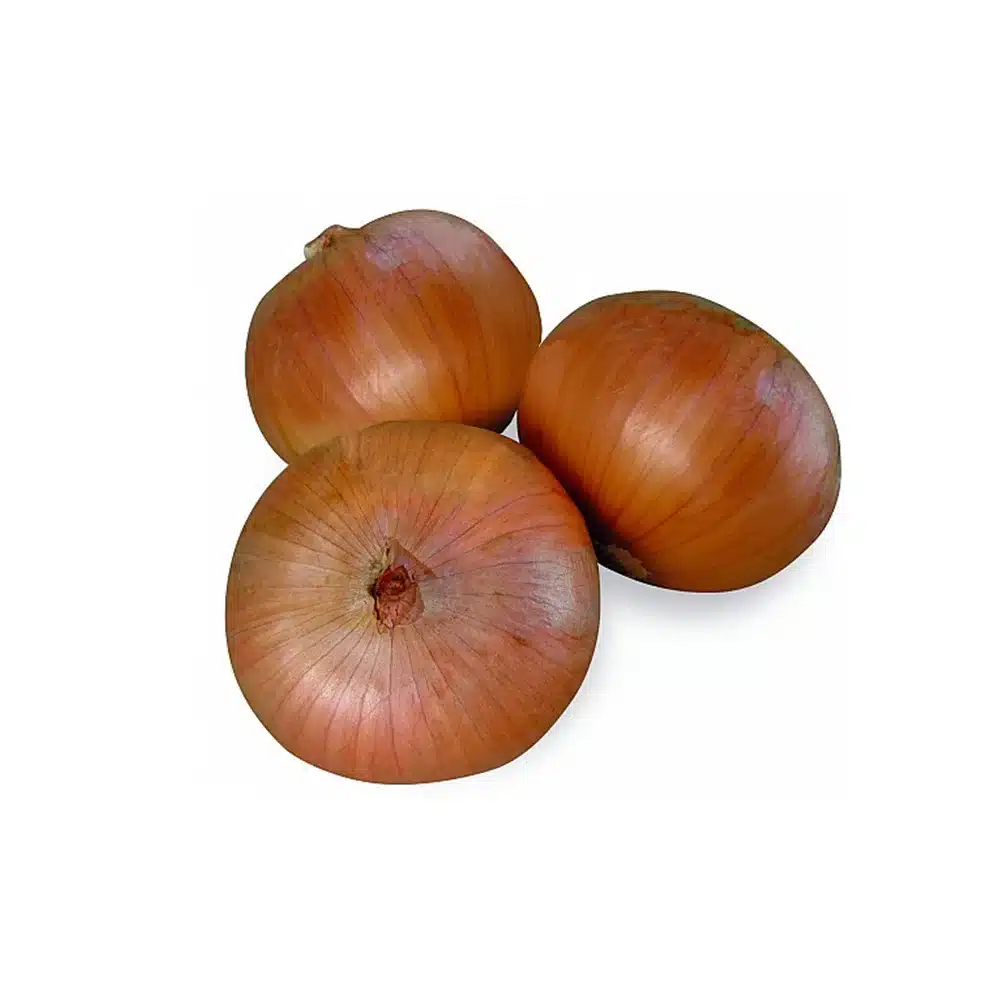 Ceapă - Semințe de ceapă, Vaquero F1