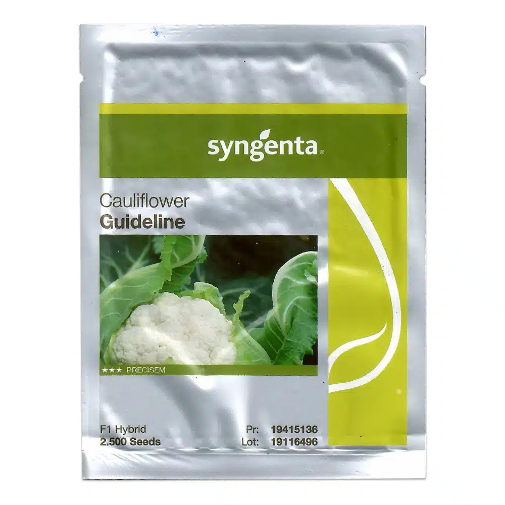 Brocoli și Conopidă - Semințe de conopidă Guideline F1