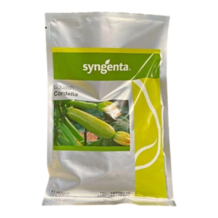 Dovleac și dovlecei - Semințe de dovlecei Cordelia F1