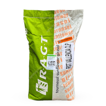 Floarea Soarelui - Semințe de Floarea-soarelui Vallencia CLP