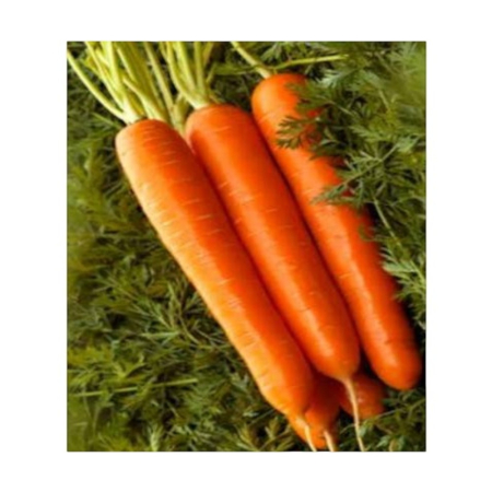 Rădăcinoase - Semințe de morcov, Brillyance F1, calibru 1.6-1.8