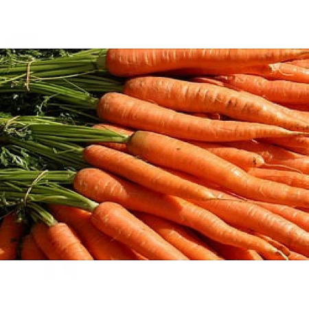 Rădăcinoase - Semințe de morcov, Romance F1, calibru 1.8-2.0