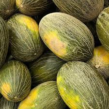 Pepeni - Semințe de pepene galben Airen F1