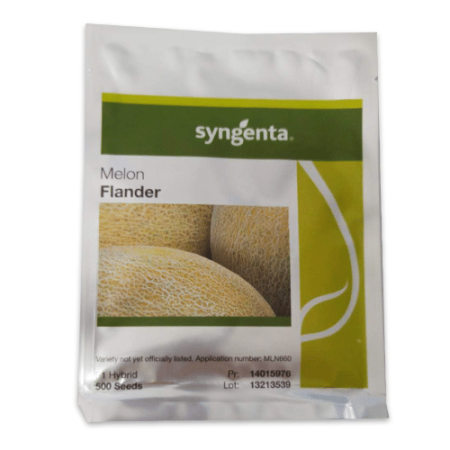 Pepeni - Semințe de pepene galben Flander F1