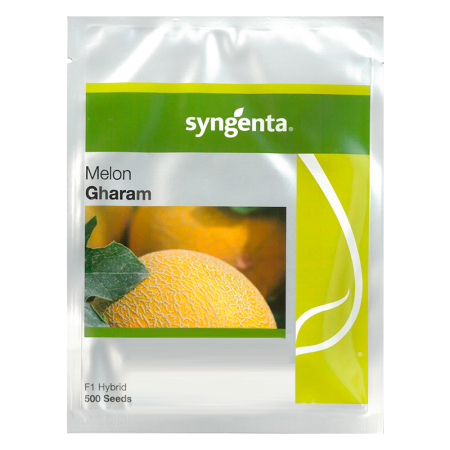 Pepeni - Semințe de pepene galben Gharam F1