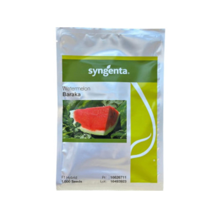 Pepeni - Semințe de pepene verde Baraka F1