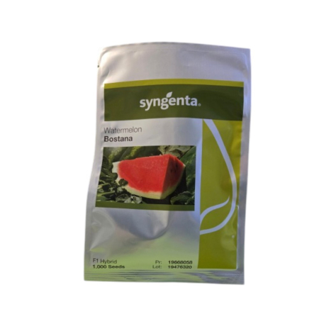 Pepeni - Semințe de pepene verde Bostana F1