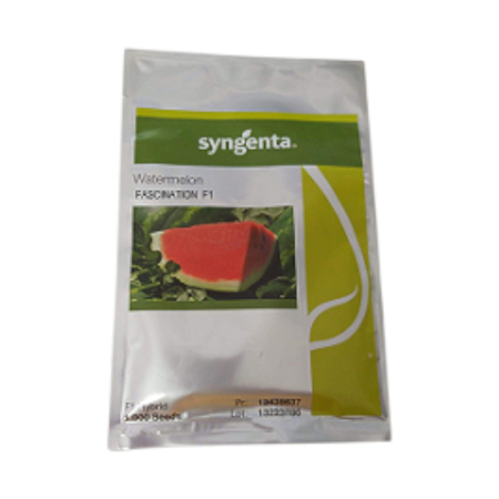 Pepeni - Semințe de pepene verde Fascination F1