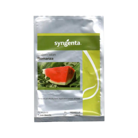 Pepeni - Semințe de pepene verde Romanza F1