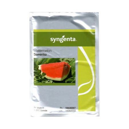 Pepeni - Semințe de pepene verde Sorento F1