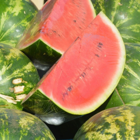 Seminţe și material săditor - Semințe de pepene verde, Susy F1