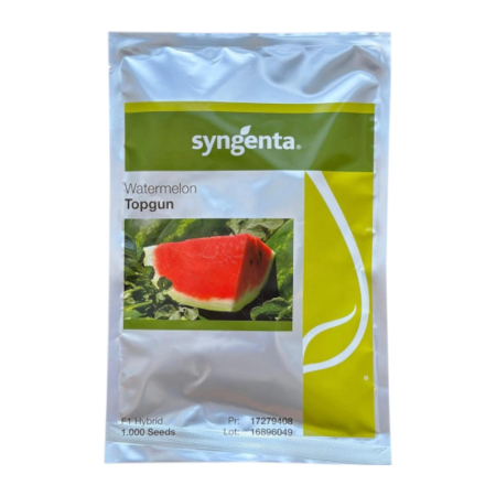 Pepeni - Semințe de pepene verde Top Gun F1