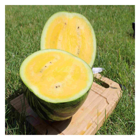 Pepeni - Semințe de pepene verde Yellow Bite F1