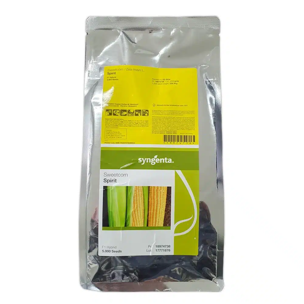 Porumb zaharat - Semințe de porumb zaharat Spirit F1