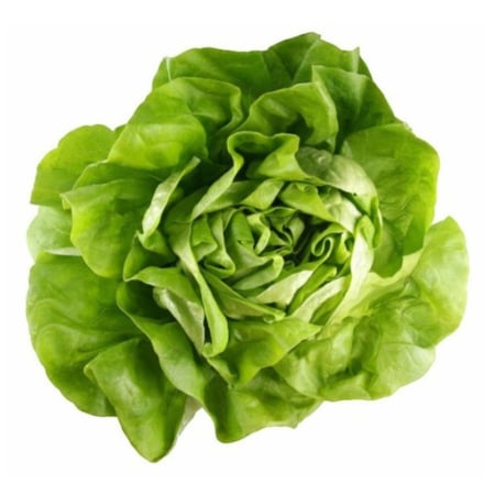 Seminţe și material săditor - Semințe de salată, Mafalda drajat