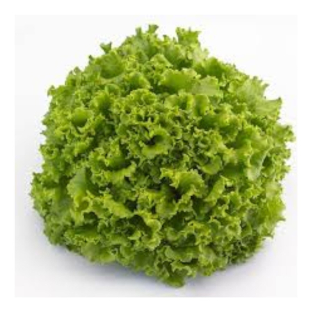 Salate - Semințe de salată Oleole