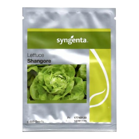 Salate - Semințe de salată Shangore