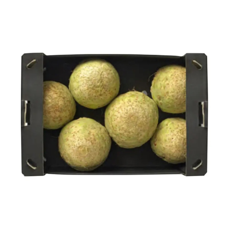 Seminţe și material săditor - Semințe de țelină, Dukiz F1 drajat/pregerminat