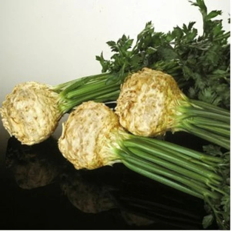 Rădăcinoase - Semințe de țelină, Prinz drajat