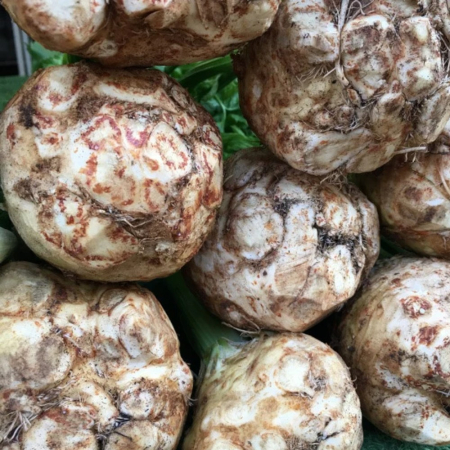 Rădăcinoase - Semințe de țelină, Rex drajat