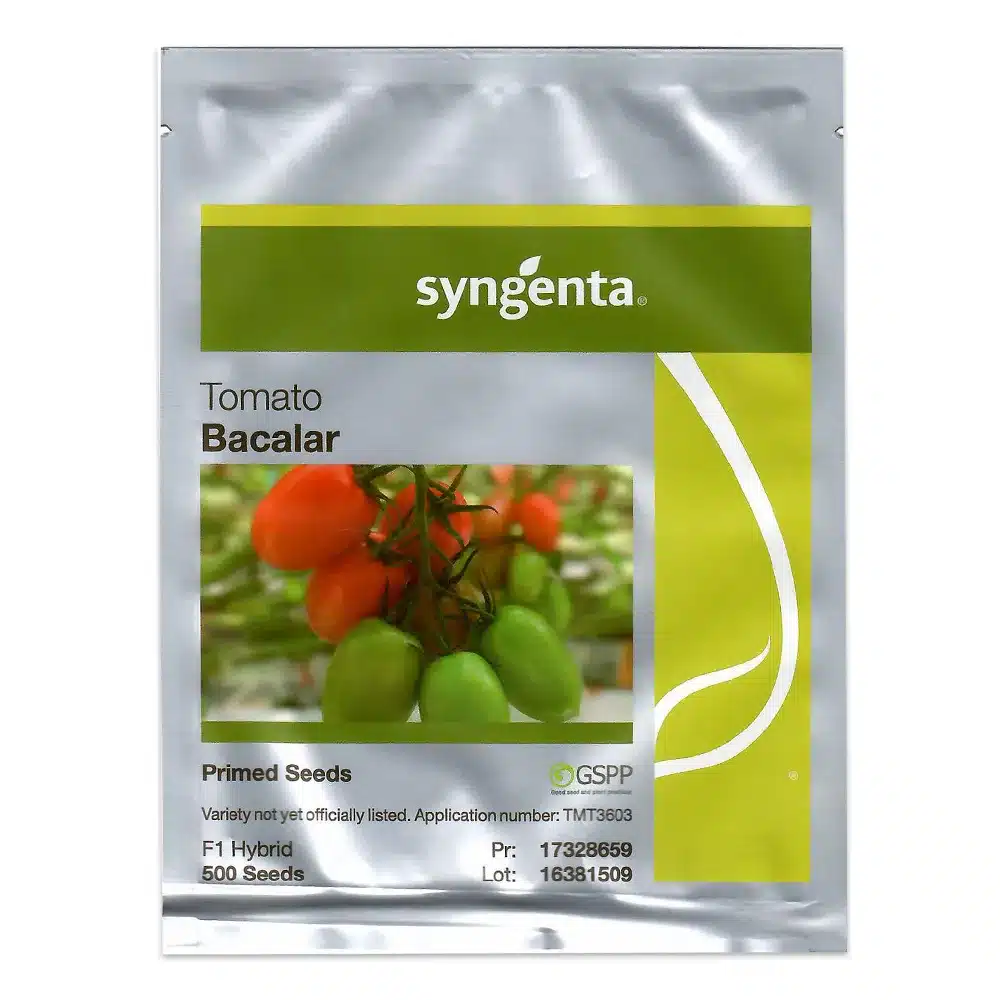 Tomate - Semințe de tomate Bacalar F1