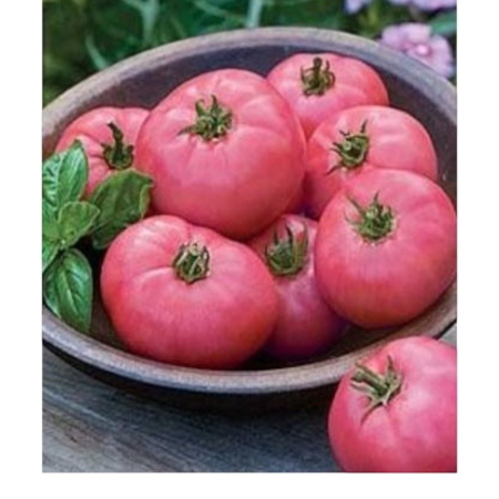 Seminţe și material săditor - Semințe de tomate, Gryphon F1