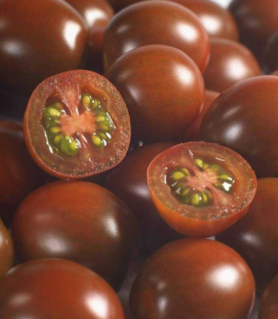 Tomate - Semințe de tomate KM 5512 F1