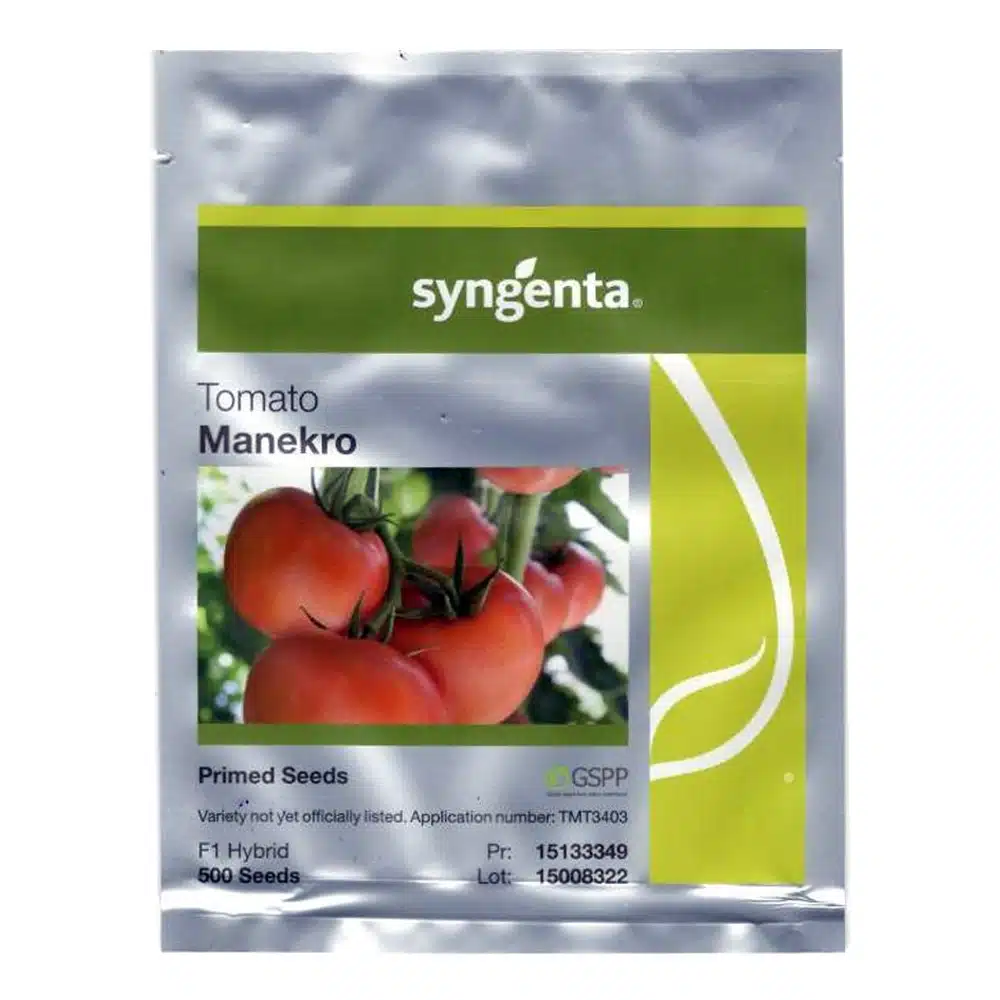 Tomate - Semințe de tomate Manekro F1